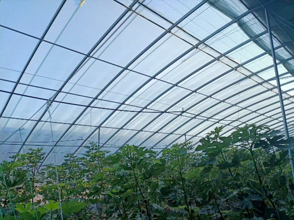 Greenhouse Film