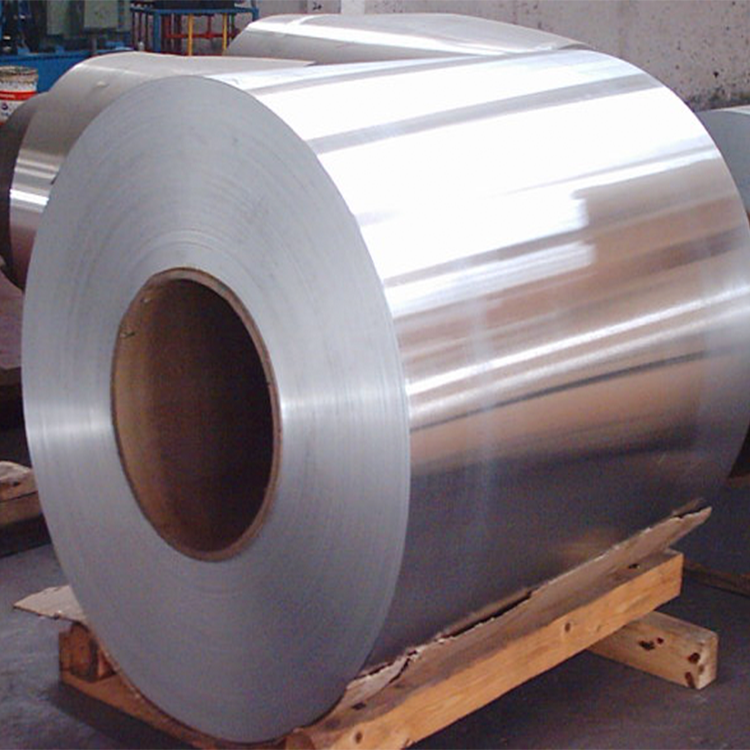 Hastelloy Coil