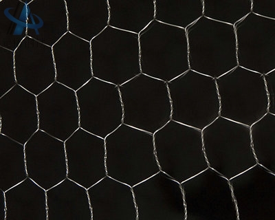 Stainless Steel Hexagonal Mesh