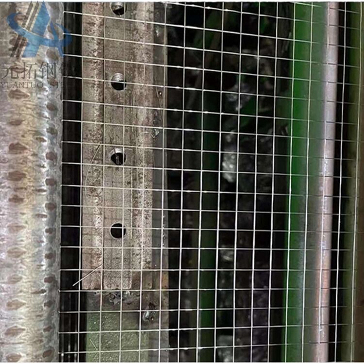 Galvanized wire mesh