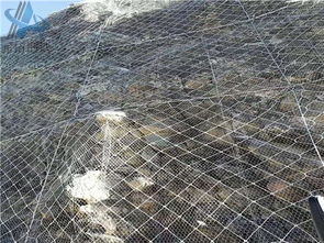 Rockfall Protection Net