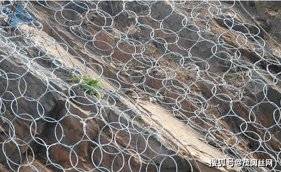 Ring Wire Rope Net