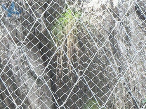 Ring Wire Rope Net