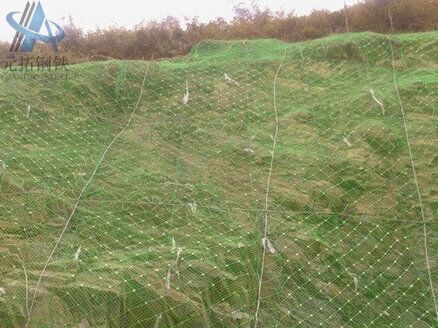 Active Protection Net