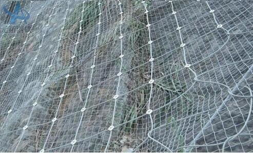 Active Protection Net