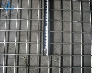 Galvanized Wire Mesh