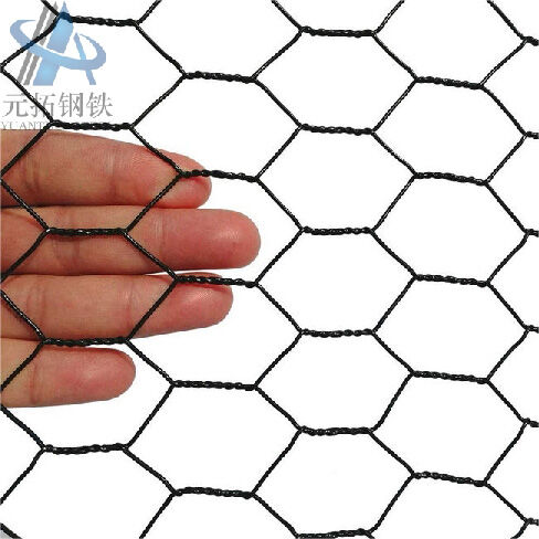 Hexagonal Wire Mesh