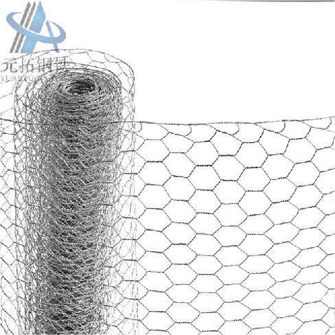 Hexagonal Wire Mesh