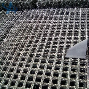 Stainless Steel Crimped Mesh