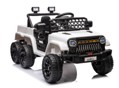 TR2406.png