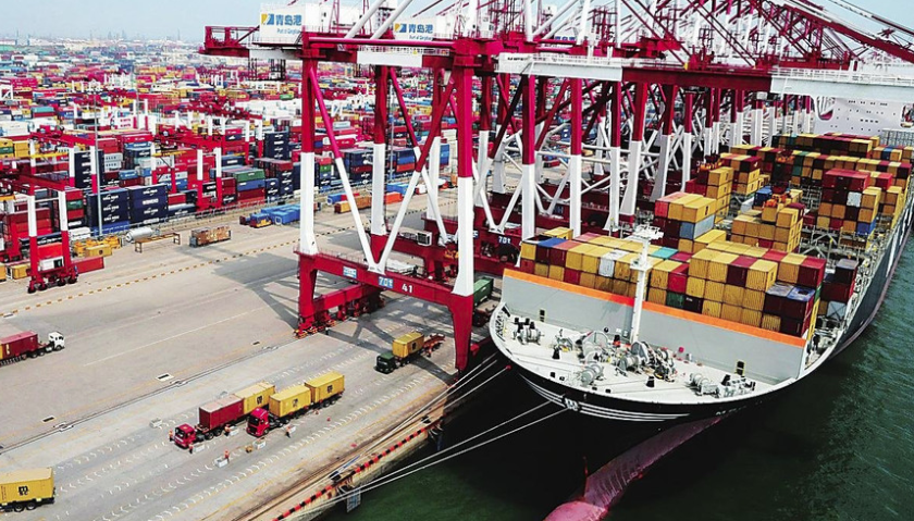 What are the requirements for a professional international shipping company?