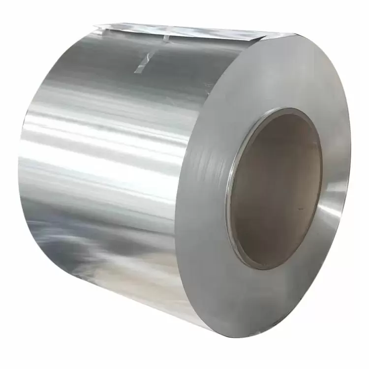 Hastelloy Coil