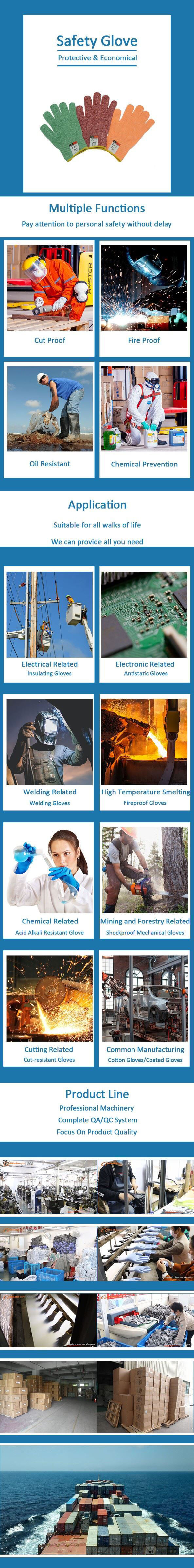 Food Grade HPPE Cut Resistant Gloves.jpg