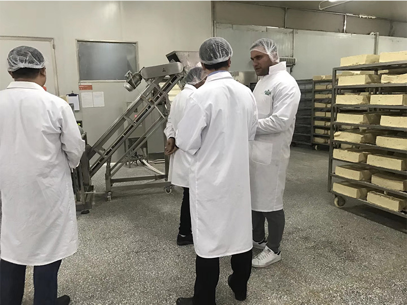 Electric Baking Oven