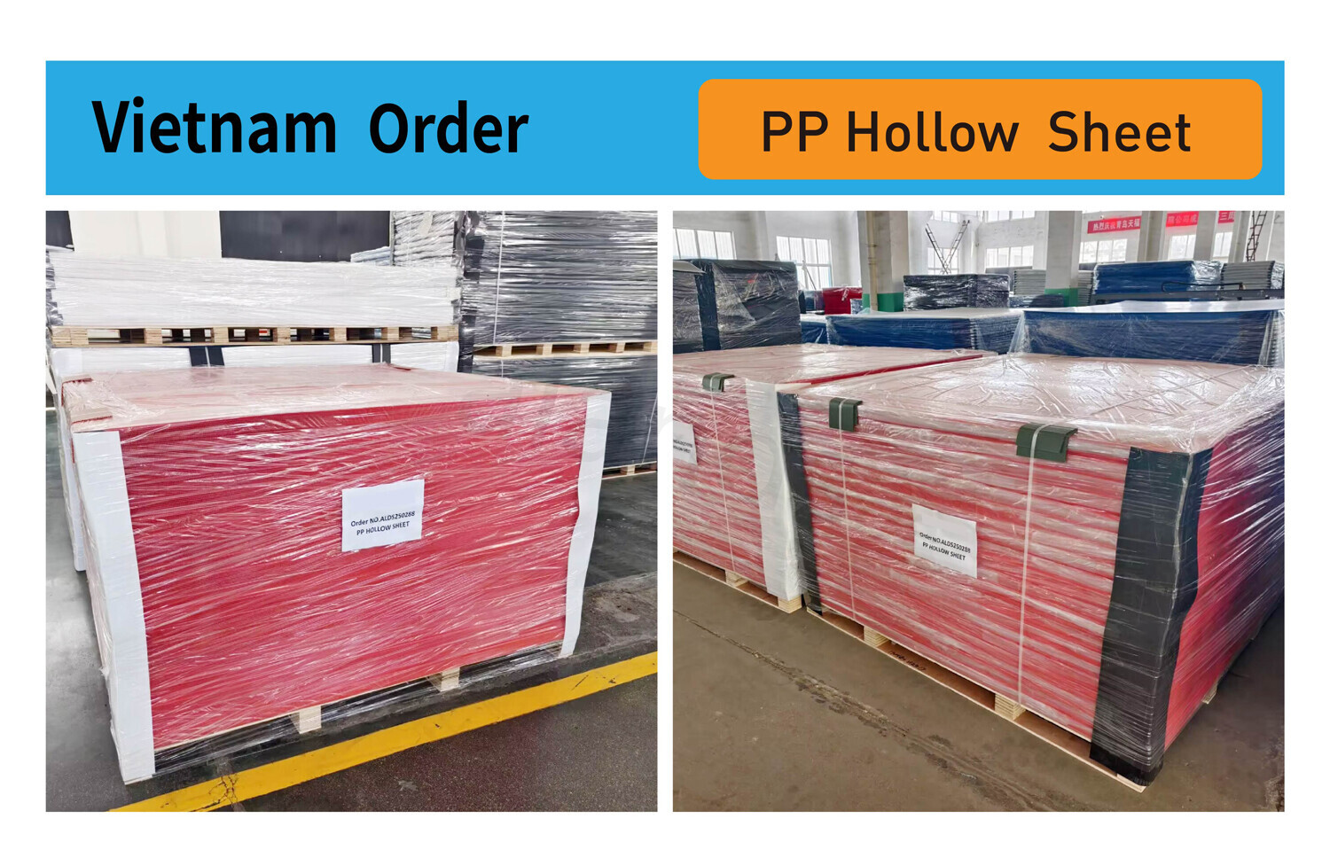 Vietnam Shipment | PP Hollow Sheets Ready for Dispatch