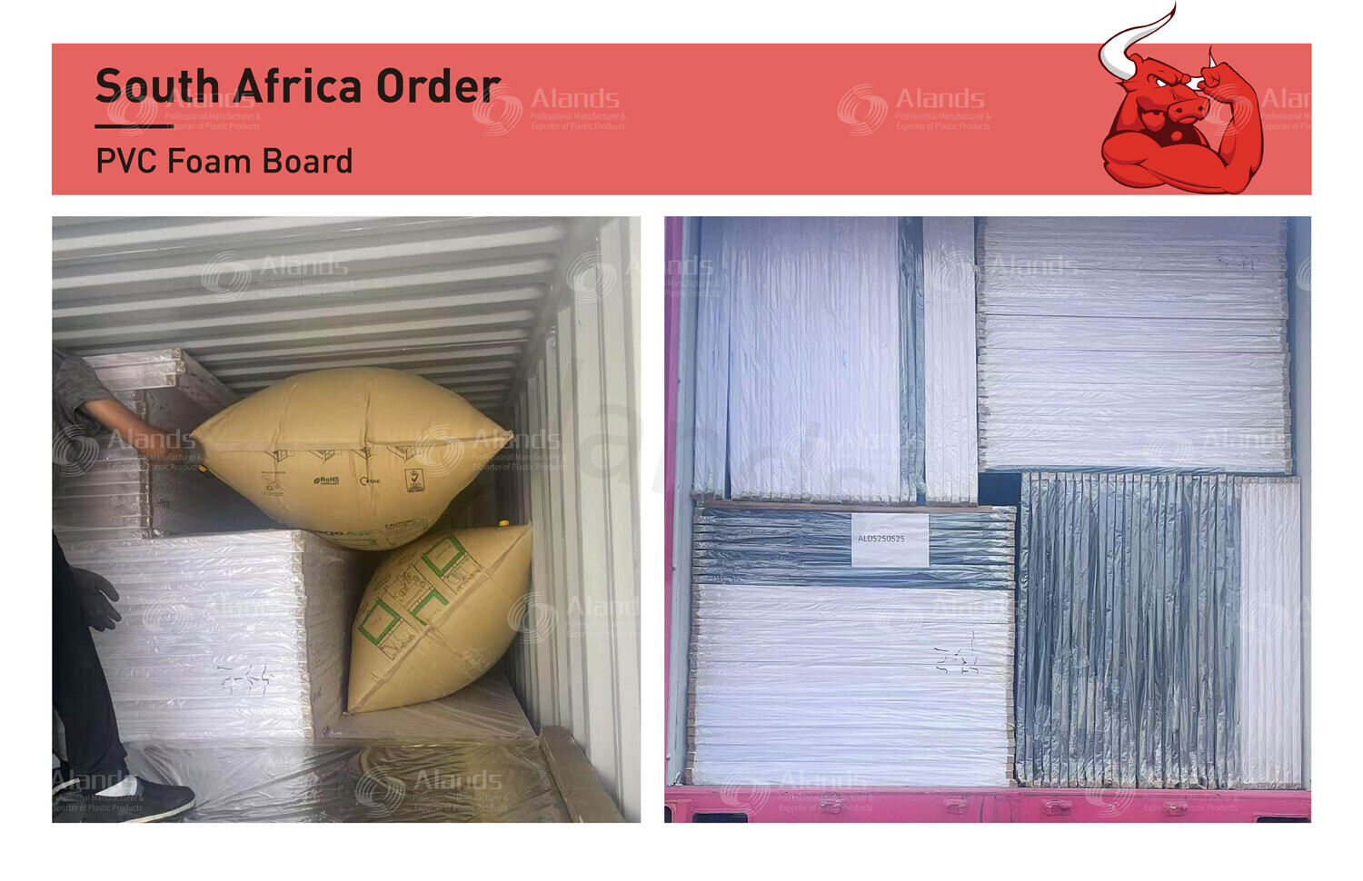 South Africa PVC Foam Board Container Shipment