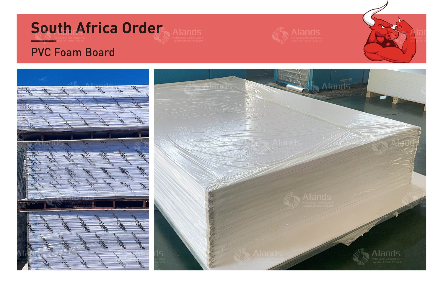 South Africa PVC Foam Board Order  Factory Export Shipment