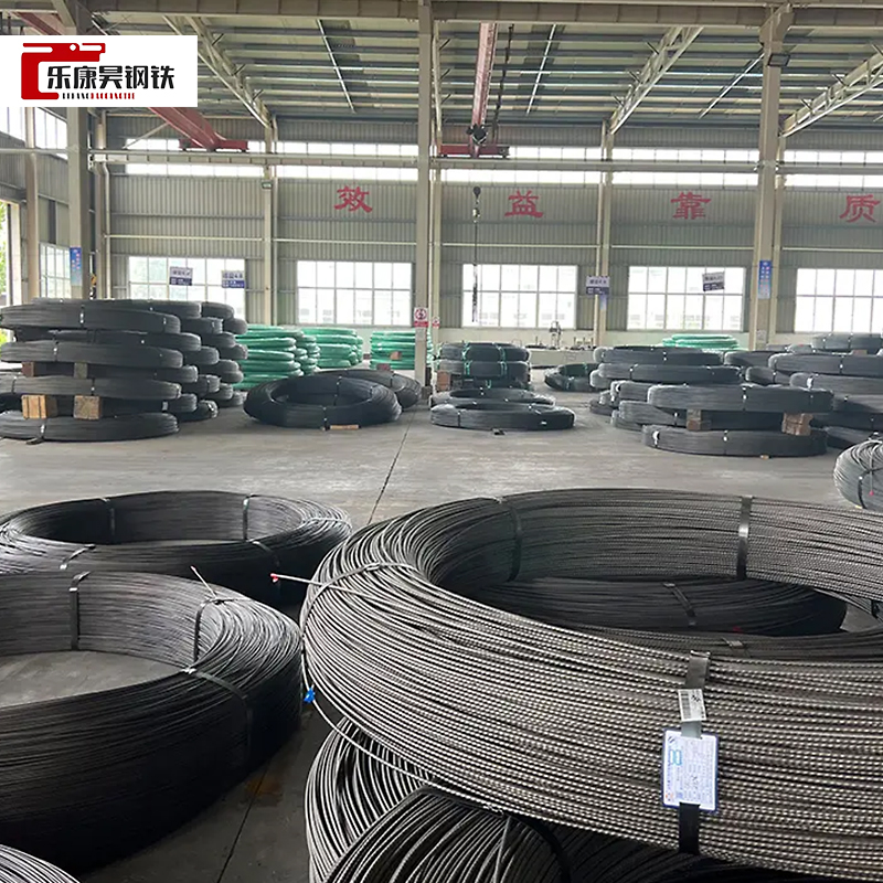 SAE1060 Carbon Steel Wire