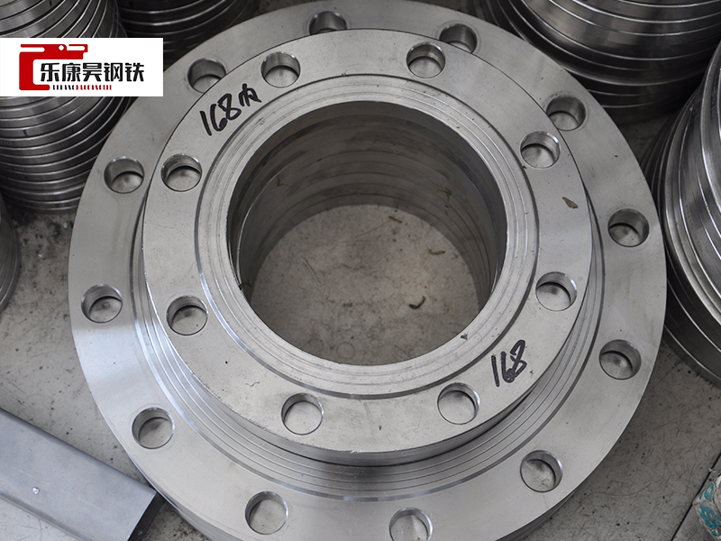 310S Flange