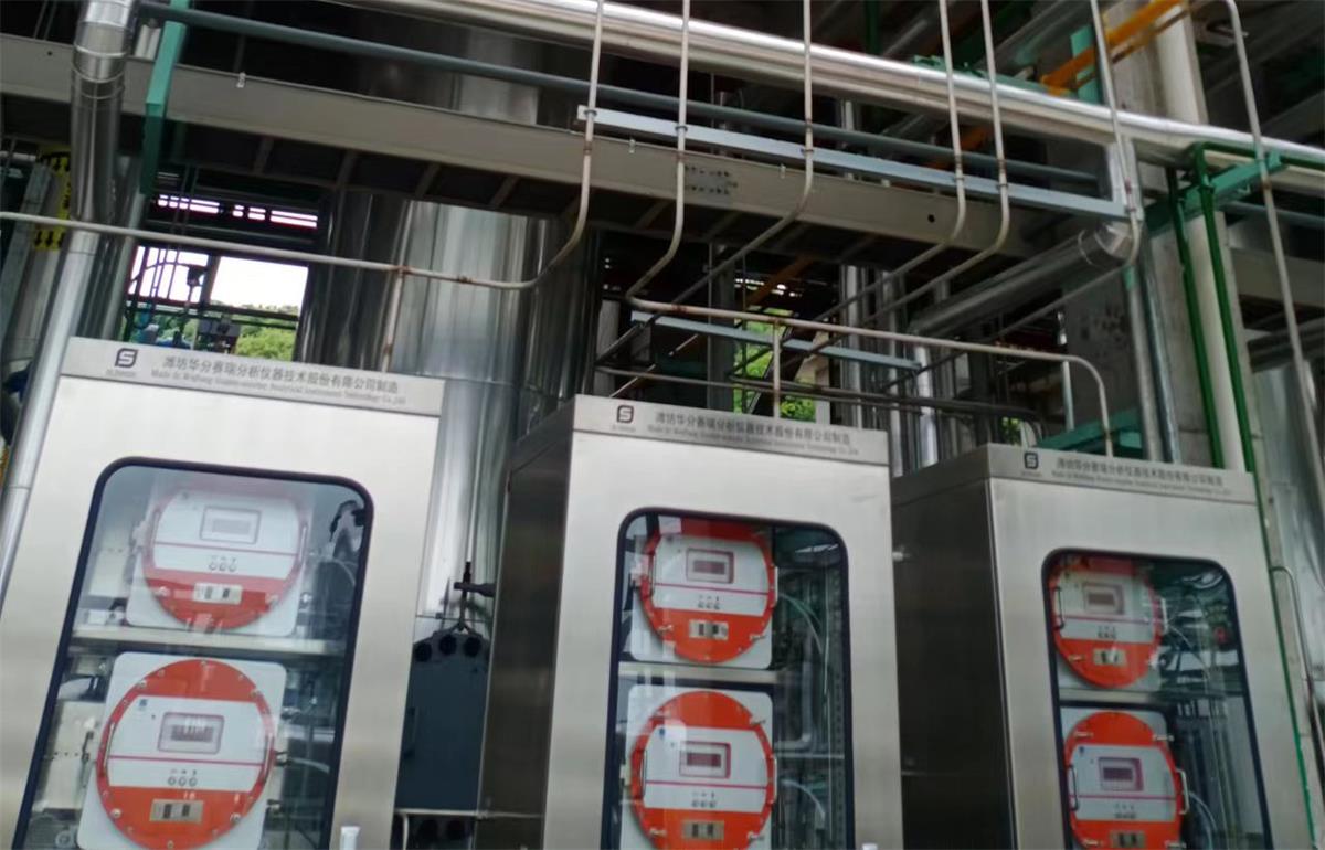 Paramagnetic vs. Zirconia Oxygen Analyzers: Which Technology is Better for Your Needs?