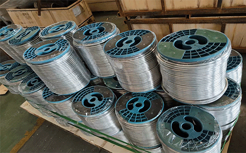 Lead wire