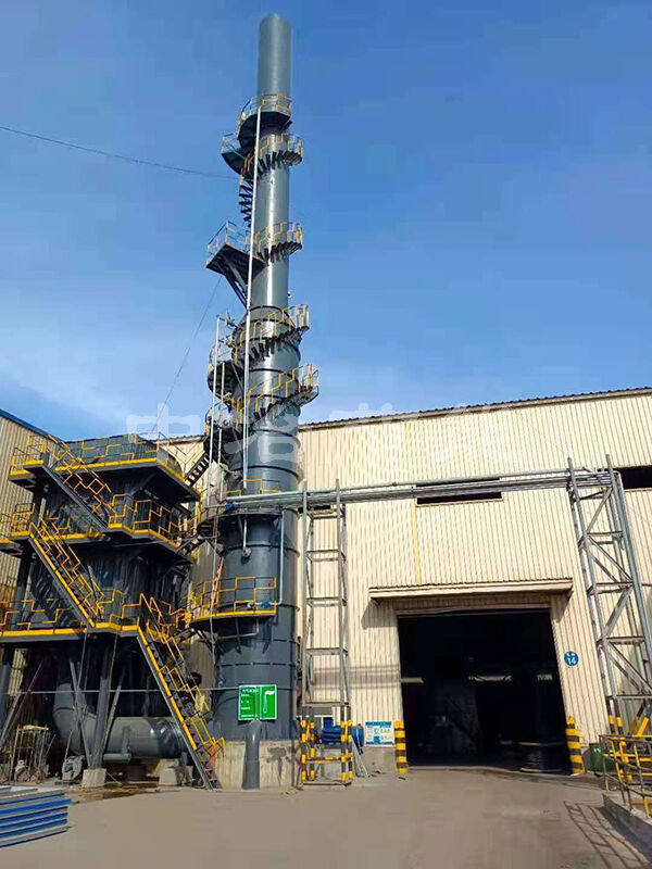 Desulfurization and denitrification