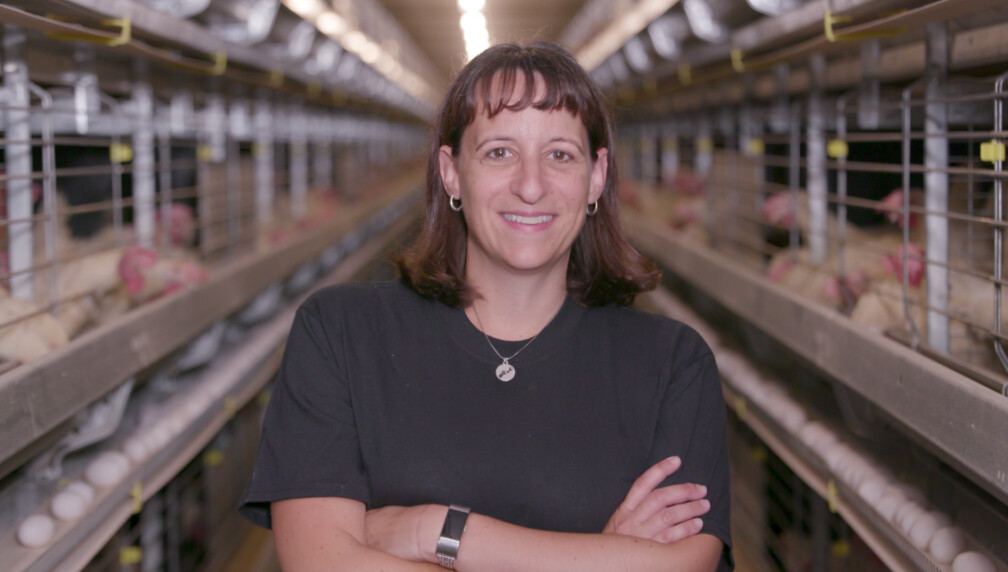 Importance tips for site selection-to start a poultry farm avoid low-lying areas prone to flooding and opt for well-drained land