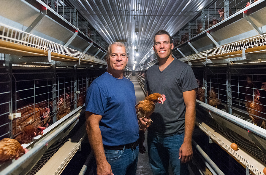 Chicken cage battery layer cage enables farmers to house a large number of birds in a relatively small area