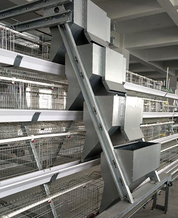 Why the battery cage system is a widely used method in poultry farming as it ultimately contributes to a more efficient and profitable poultry operation