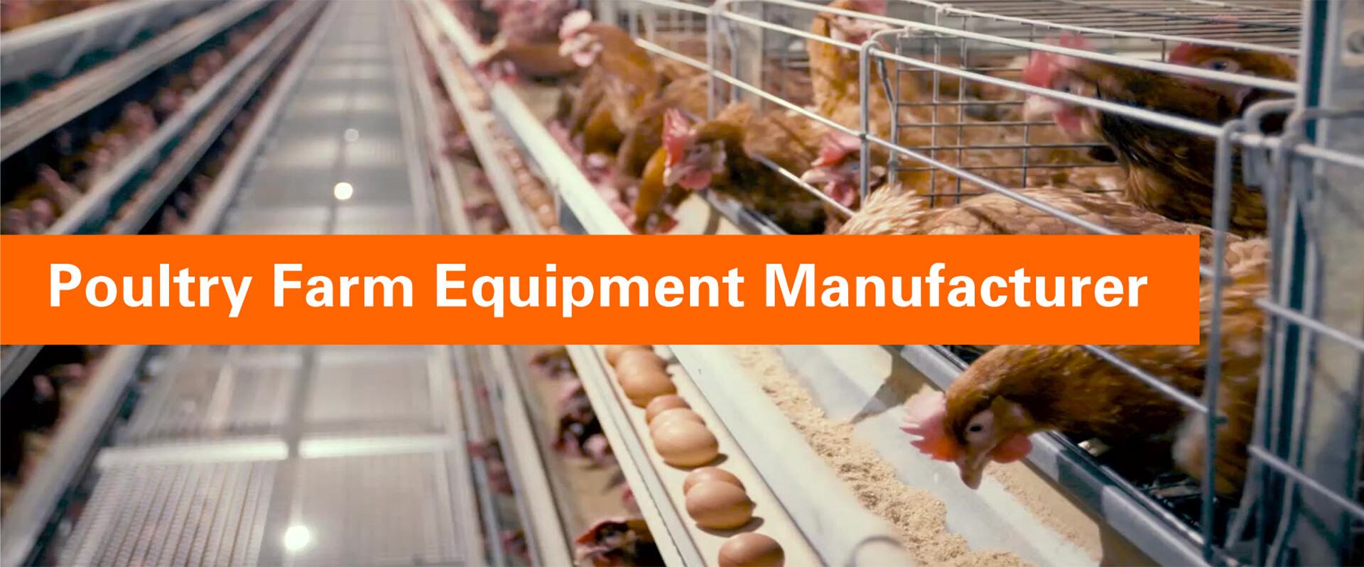 Chicken Farm - Solutions