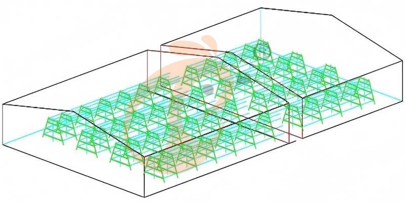 battery cage system for layer (5)