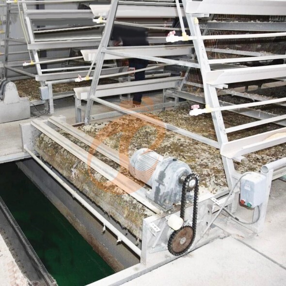 battery cage system for layer (2)