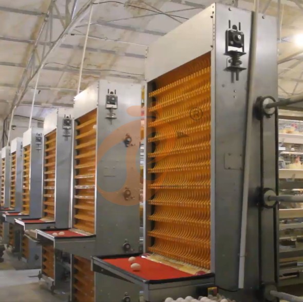 battery cage system for layer (8)