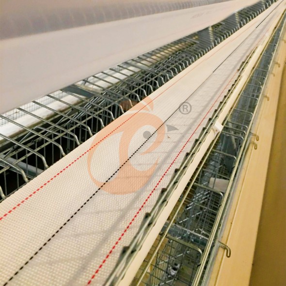 battery cage system for layer (16)