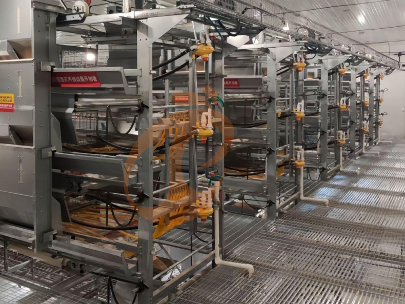 Automatic H Frame Brooder Battery Cage System