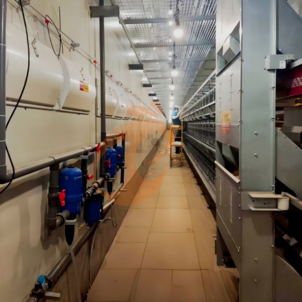 battery cage system for brooder (14)