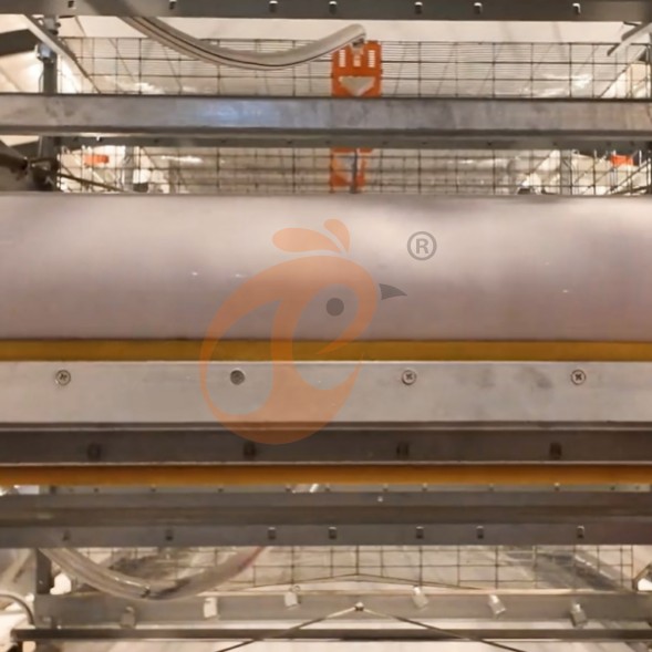 battery cage system for brooder (15)