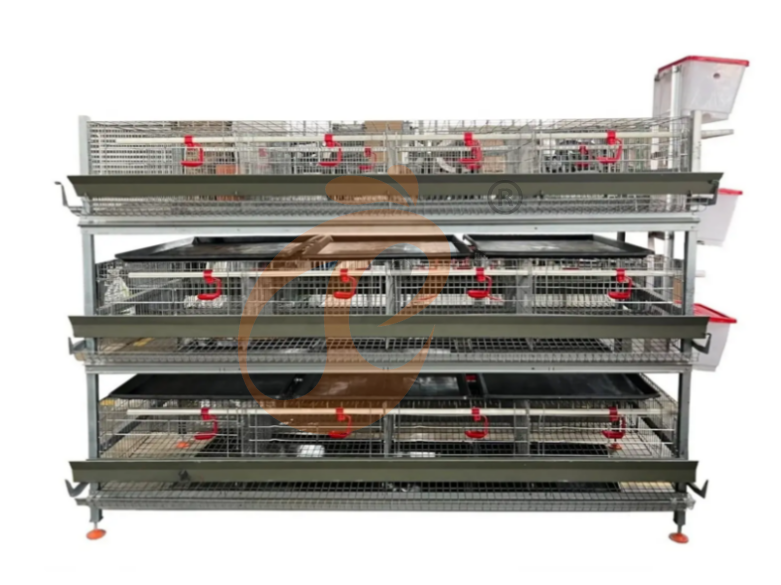 Semi Automatic H Frame Brooder Battery Cage System