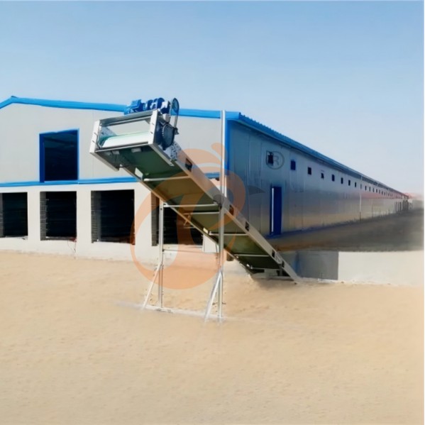 Battery cage system for brooder (21)