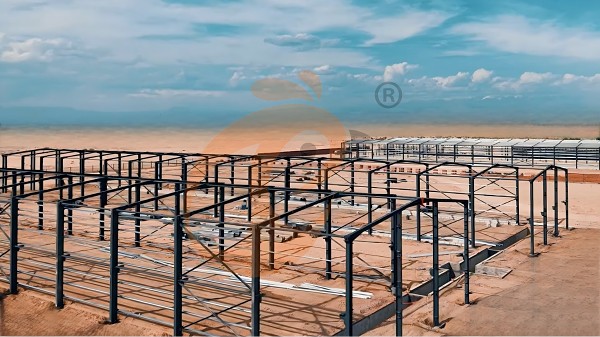 1762781843846502164516671488