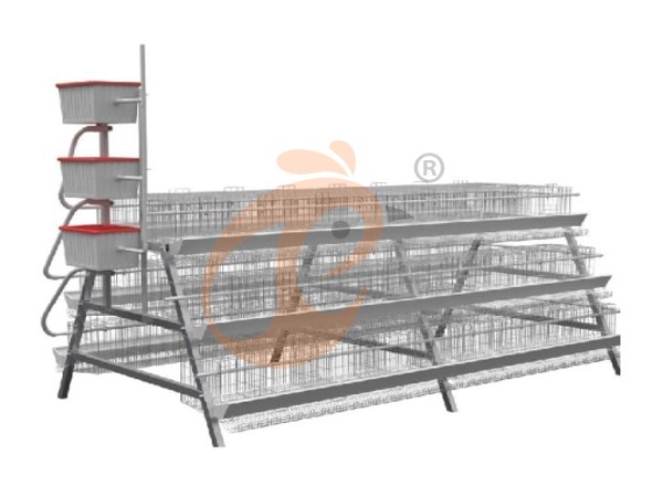 chicken battery cage poultry farm 1 (27)