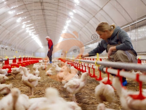 1762828807846699144735985664