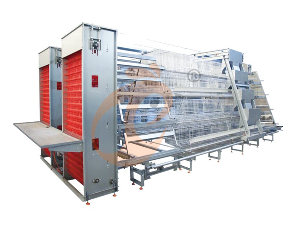 Tanzania Branch Offer Poultry Farm Business Plan, Manufacture Poultry Farm Equipment