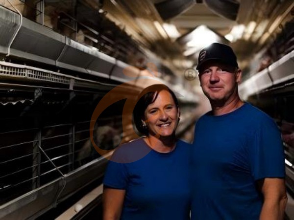 How Much Does An Automatic Ethiopian Poultry Cage System Cost? 6 Budget Levels