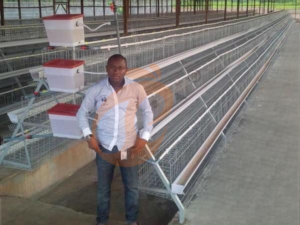 How To Extend The Life Of An A Type Chicken Cage In Ethiopia? 6 Proven Practices