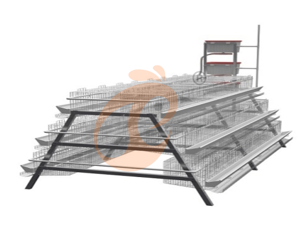 Export Price Of Ethiopian Poultry Cage System: 5 International Cost Factors