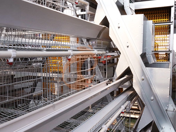 Feed System1 (1)