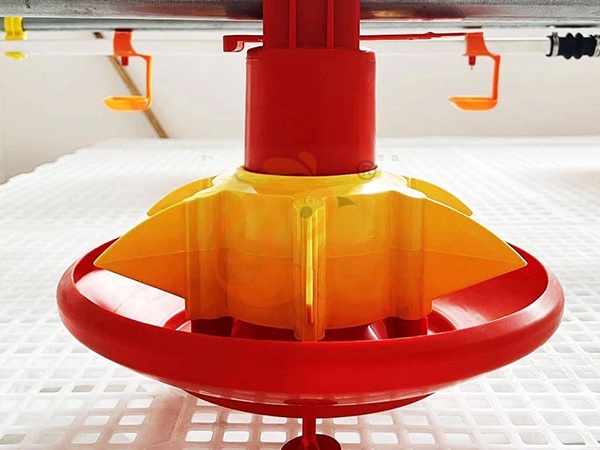 Single-Level Vs Multi-Level Pralson Feeders | Which Boosts Growth?
