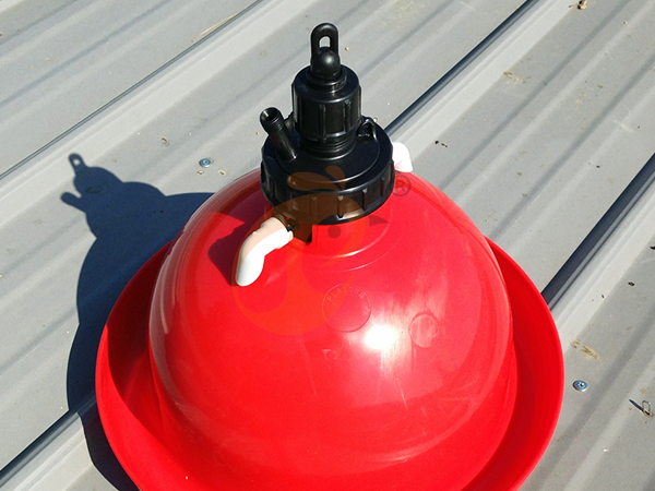 Large Vs Small Pralson Feeders | Which Saves More Feed?