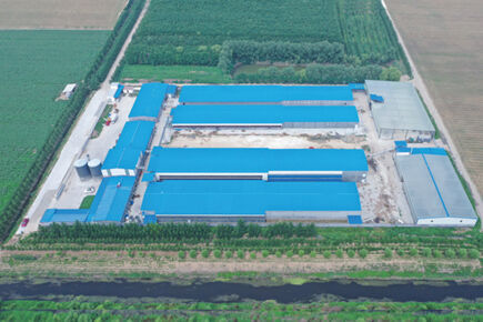 Luoto finished 200,000 birds capacity battery cage Luoto finished 200,000 birds capacity battery cage